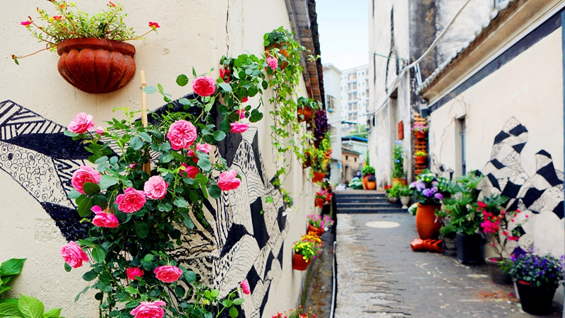 longhua,longhua district，Digital Longhua