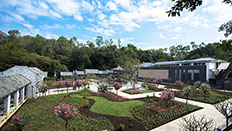 清湖文化公園，龍華區，龍華政府在線，龍華區政府在線