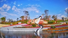 白石龍音樂公園