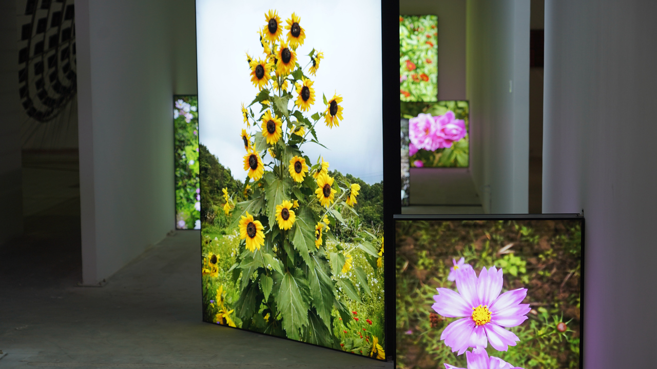 《玲姐，你真棒》“Sister Ling, You’re Totally Rad” by Hu Yinping (3)_副本.jpg