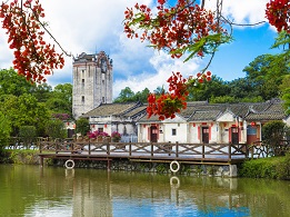 觀瀾文化特色小鎮(zhèn)，龍華區(qū)，龍華政府在線，龍華區(qū)政府在線