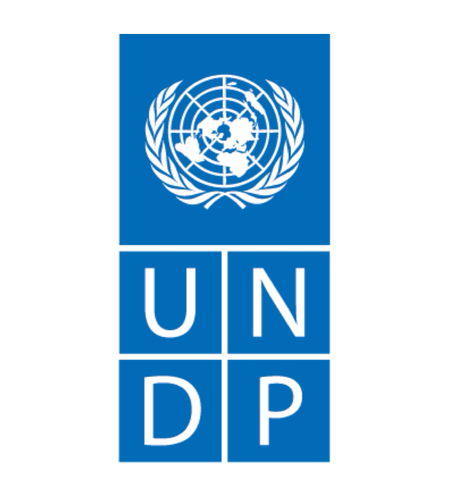 <strong>United Nations Development Programme(UNDP)</strong>