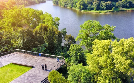 龍華環(huán)城綠道（大水坑段）
