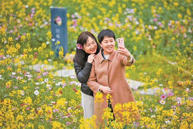 31483941_ecd68a47-ae43-400f-b8a1-7c21bc6c996c (13).jpg