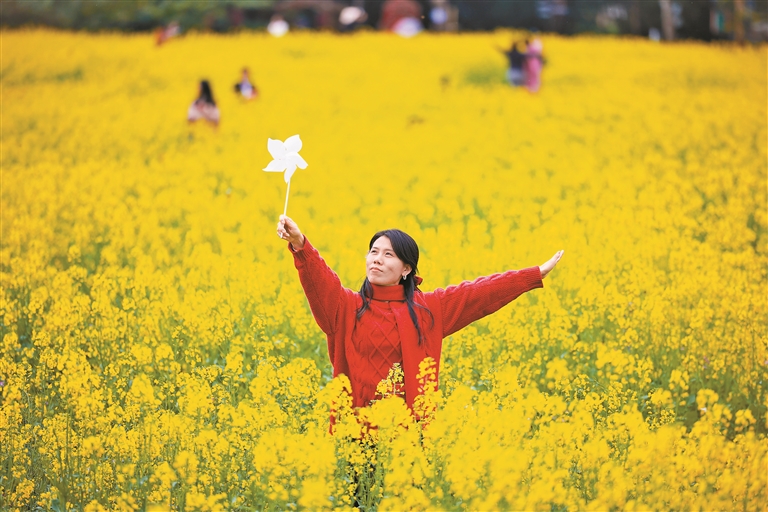 Spring blossoms in Longhua,longhua,longhua district,Longhua Government Online
