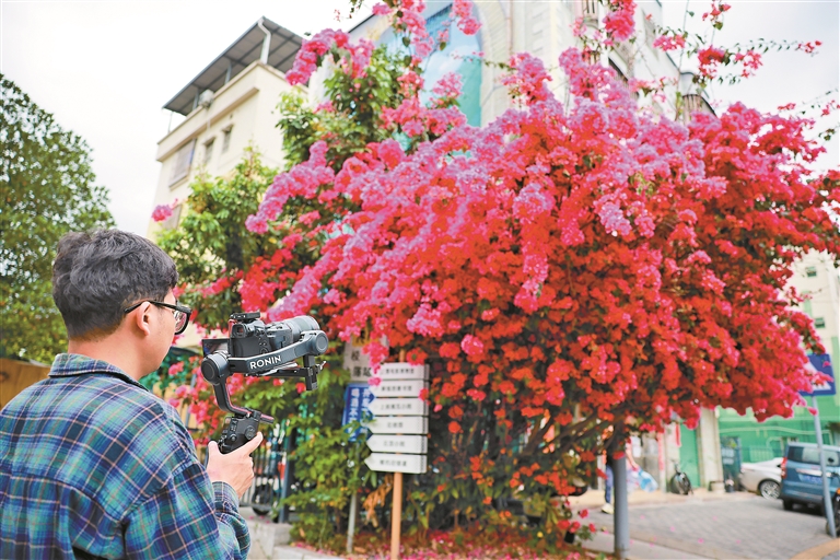 31483941_7007e39d-4e4d-42ec-ac1b-8e5ddb475620 (1).jpg