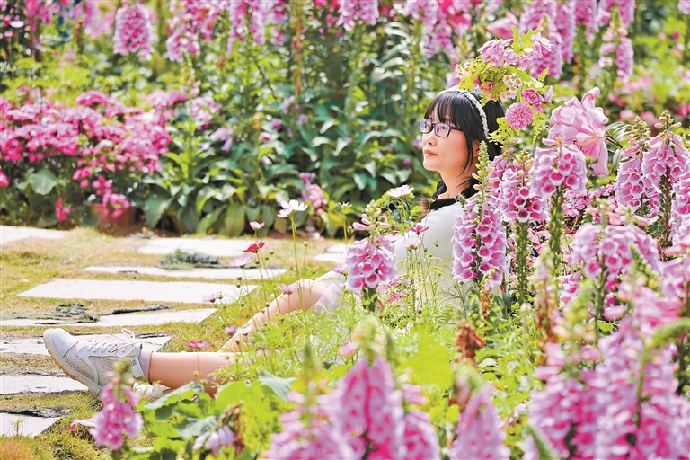 31483941_b12e4af4-8f3c-4e9a-a797-6aa8eedab739 (1).jpg