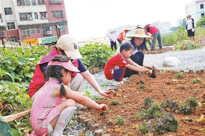 福城街道桔塘社區(qū)開展共建花園活動1.jpg