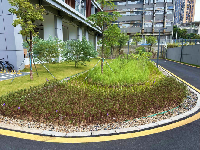 深圳思創科技儲存技術研發生產基地-龍華政府在線