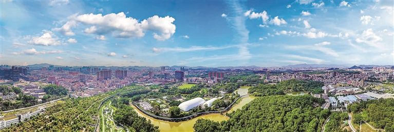 民生答卷寫滿幸福，龍華溫度潤澤萬家