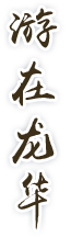 游在龍華