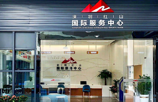 Service,longhua,longhua district,Longhua Government Online