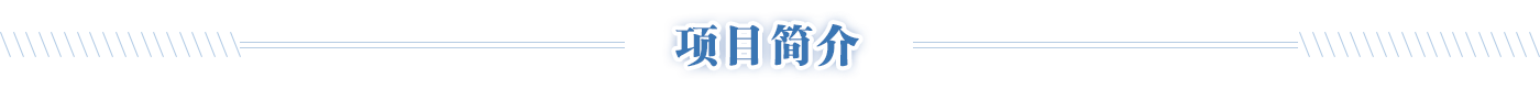 項目簡介，龍華區，龍華政府在線，龍華區政府在線