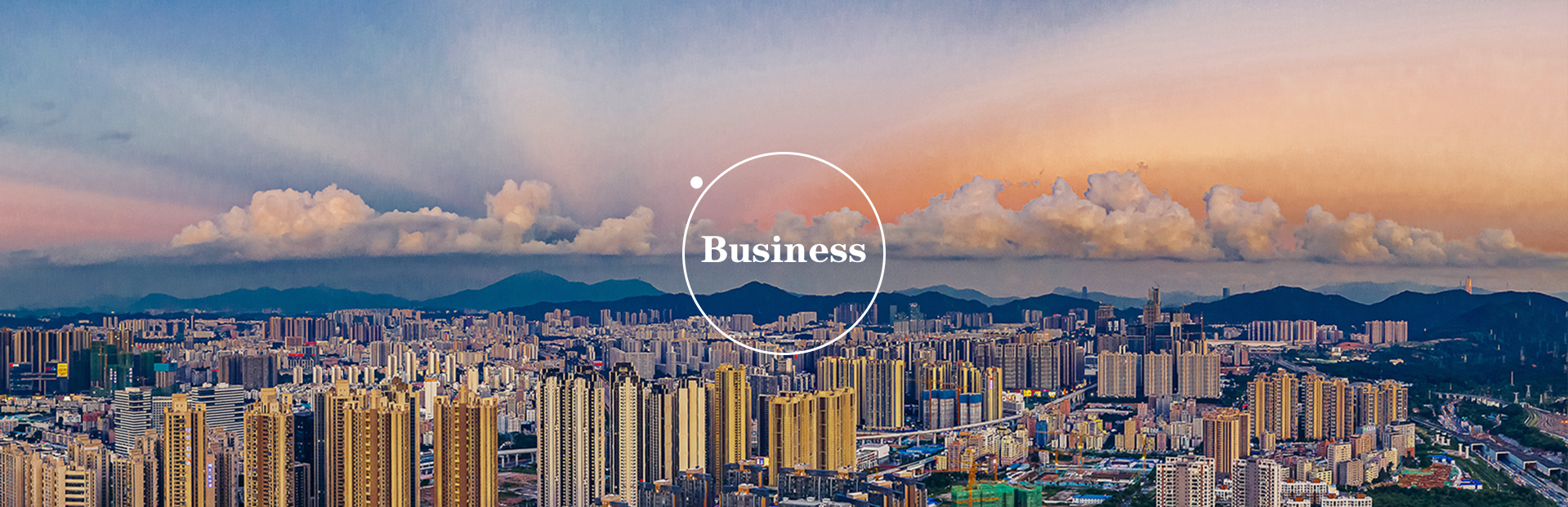 Business,longhua,longhua district,Longhua Government Online