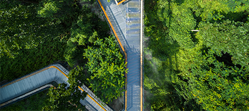 Parks & Greenways,longhua,longhua district,Longhua Government Online