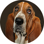 What to prepare?,longhua,longhua district,Longhua Government Online